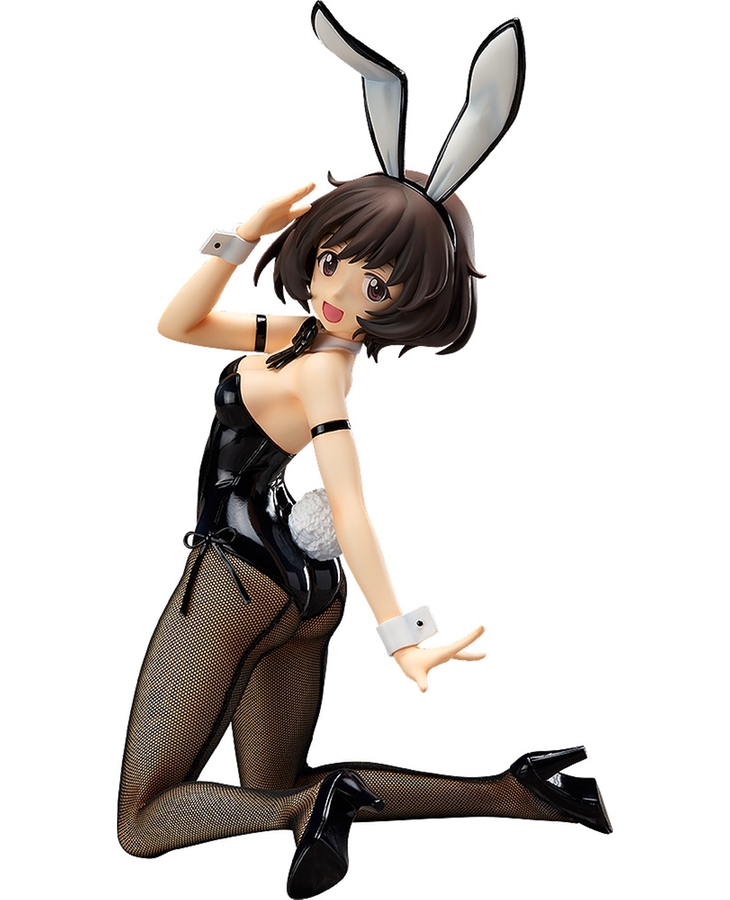 Yukari Akiyama: Bunny Ver.