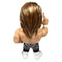 16d Collection 006: NEW JAPAN PRO-WRESTLING Hiroshi Tanahashi G1 CLIMAX28 Victory Ver.