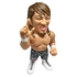 16d Collection 006: NEW JAPAN PRO-WRESTLING Hiroshi Tanahashi G1 CLIMAX28 Victory Ver.