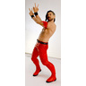 Purokaku Heroes Figure: New Japan Pro-Wrestling Shinsuke Nakamura (Red Costume Ver.)