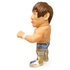 16d Collection 010: NEW JAPAN PRO-WRESTLING Kota Ibushi (Limited Edition Color)