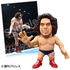16d 軟膠模型 WWE 巨人安德烈【週刊職業摔角區 限定特典】