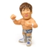 16d Collection 010: NEW JAPAN PRO-WRESTLING Kota Ibushi (Limited Edition Color)