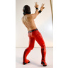 Purokaku Heroes Figure: New Japan Pro-Wrestling Shinsuke Nakamura (Red Costume Ver.)