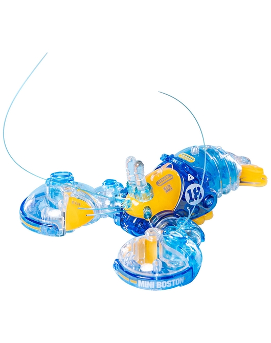 ボストンロブスタークリスタルブルー