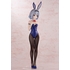 Ginko Sora: Bunny Ver.