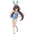 Ai Hinatsuru: Bare Leg Bunny Ver.