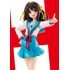 Light Novel Edition Haruhi Suzumiya