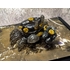 AQUACULTURE TANK 007: Fiddler Crab (Gold Black)