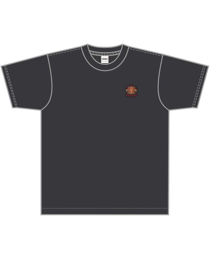 フットサルボーイズ!!!!! チームロゴTシャツ 皇花山学園高等部