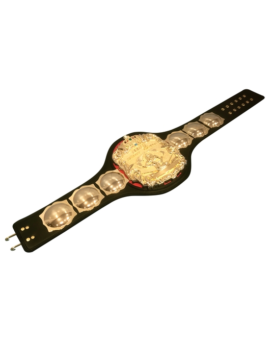 全日本プロレス　3冠ベルトレプリカ　ユナイテッド・ナショナルヘビー級ベルト（2次受注）