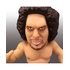 16d Collection: WWE André the Giant