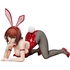 Ryoko Mikado: Bunny Ver.