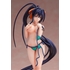 Akeno Himejima: Swimsuit Ver.