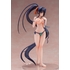 Akeno Himejima: Swimsuit Ver.