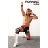 PLAMAX MF-48 minimum factory 內藤哲也