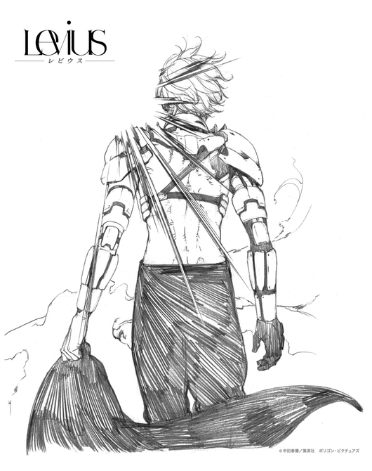 レビウス F3キャンバス レビウス(バック)