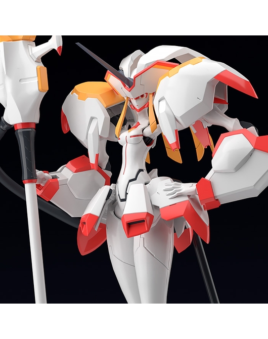 strelitzia moderoid
