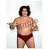 16d Collection: WWE André the Giant【LEGENDARY MASTERS STORE Exclusive Bonus】