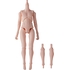 Harmonia bloom blooming doll root (Body/Sunrise）