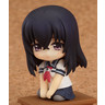 ねんどろいどぷち フォトカノ
