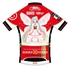 Cycling Jersey Racing Miku SUZUKA 10 HOURS Tony Haregi Ver.／ XXXLsize