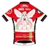 Cycling Jersey Racing Miku SUZUKA 10 HOURS Tony Haregi Ver.