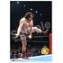 16d Collection: WWE André the Giant【WEEKLY PRO-WRESTLING Corner Exclusive Bonus】