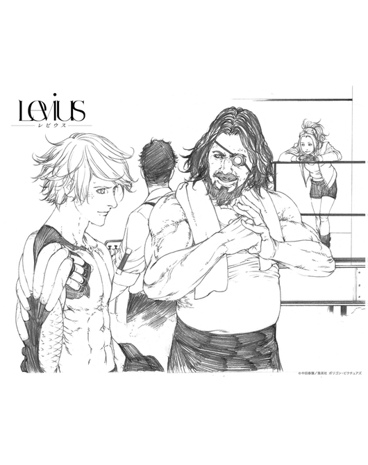 レビウス F3キャンバス レビウス ザックス