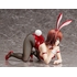 Ryoko Mikado: Bunny Ver.