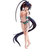 Akeno Himejima: Swimsuit Ver.