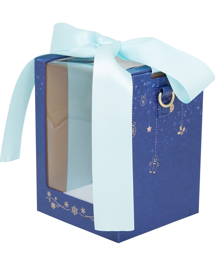 Nendoroid Pouch Neo: Gift Box