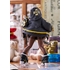 POP UP PARADE 布莉姬特 STRIVE BLACK