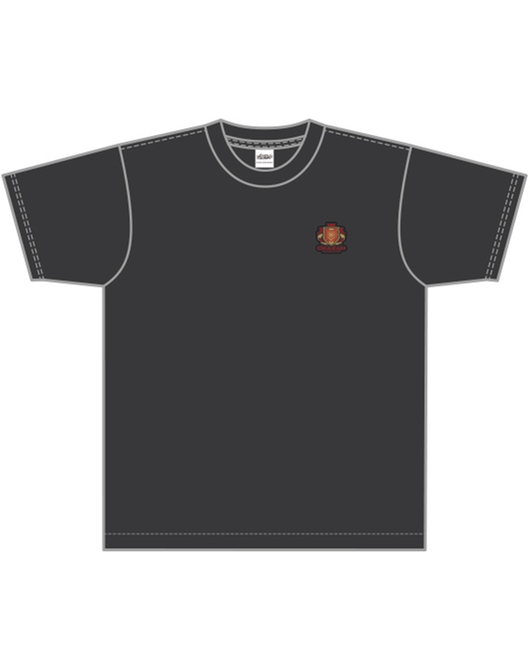 フットサルボーイズ!!!!! チームロゴTシャツ 皇花山学園高等部