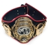 All Japan Pro-Wrestling Triple Crown Belt Replica PWF heavyweight belt