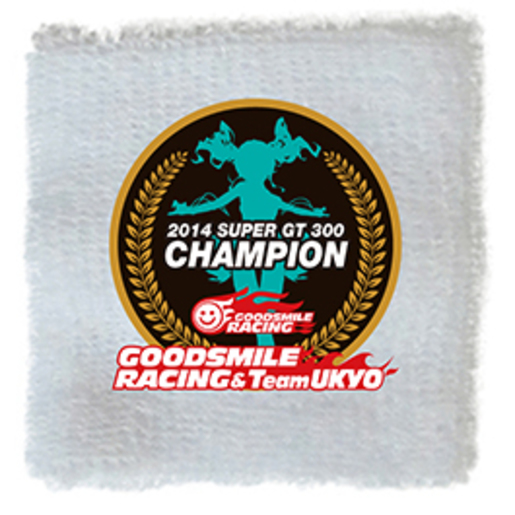 GSR 2014 Victory: Commemorative Wristband