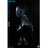 Infinity Studio: Avatar:' The Way of Water' Neytiri life size bust (Elite)
