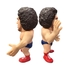 16d Collection: WWE André the Giant